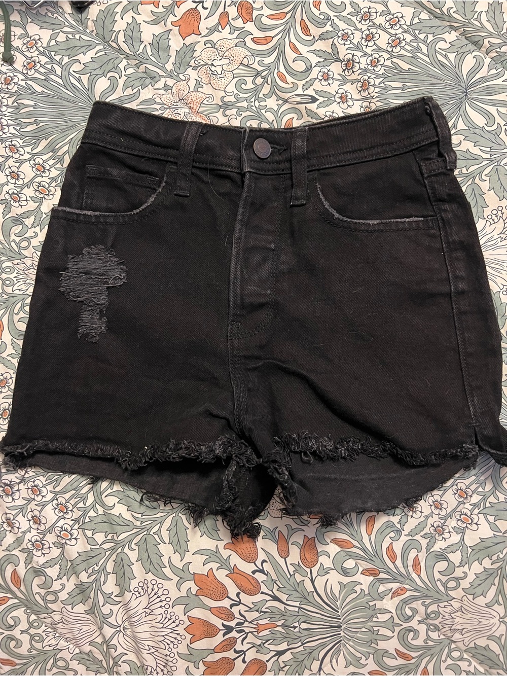 Hollister Black Distressed Frayed Hem Jean Shorts - size 00
